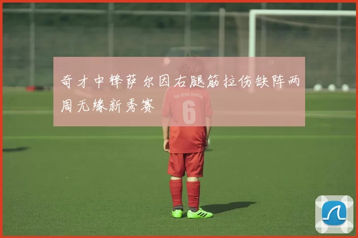 奇才中锋萨尔因右腿筋拉伤缺阵两周无缘新秀赛